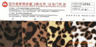 皮塑雙驅，外貿新程——探索斯雨皮塑業務部的核心優勢與前行之路